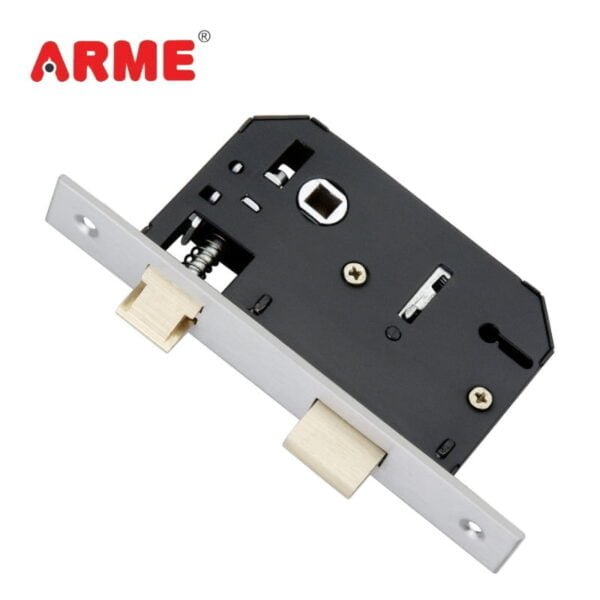 AML-01