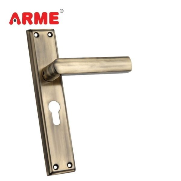 ASH-821 SS Mortice Handle