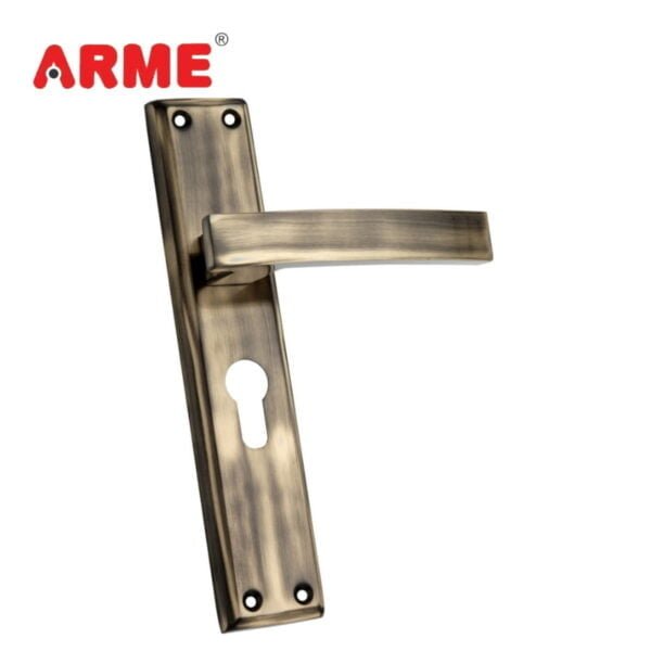 ASH-823 SS Mortice Handle
